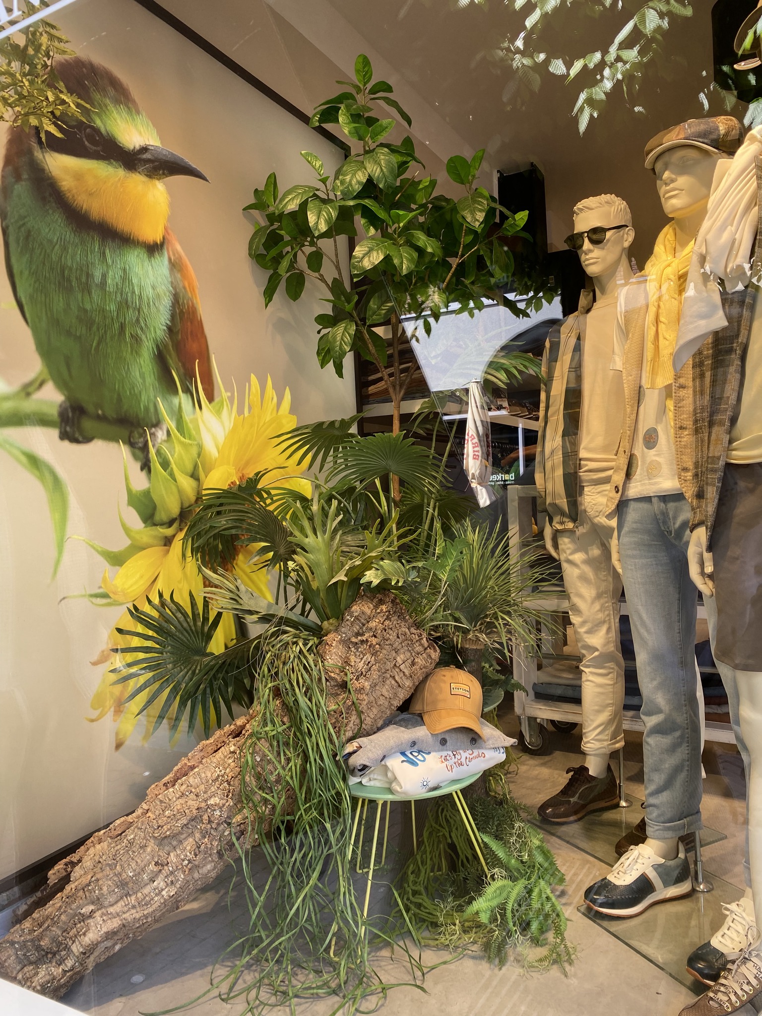 Etalage van Rob Haver Mannenmode in Helmond